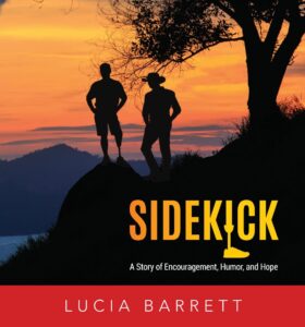 novel by Lucia Barrett, Sidekick